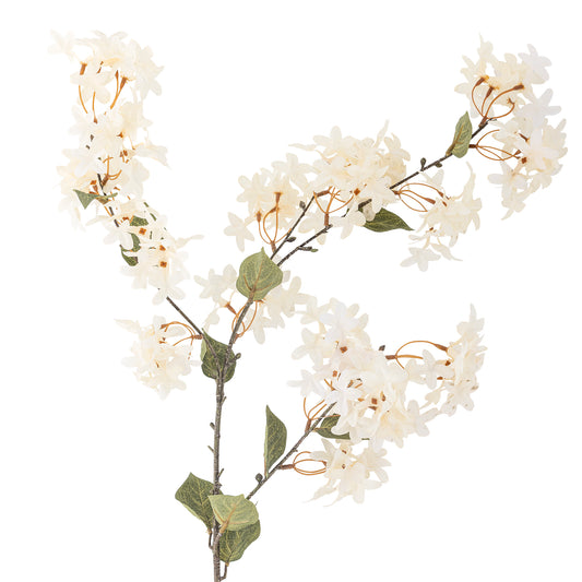 Myrtle white branch Flowers