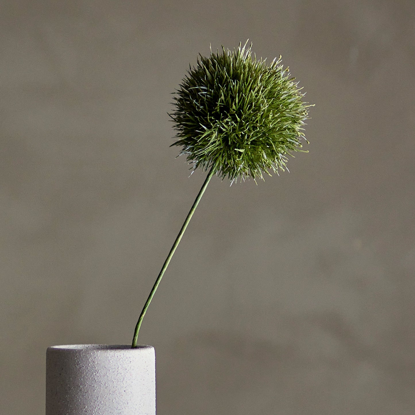 Allium Green Stem