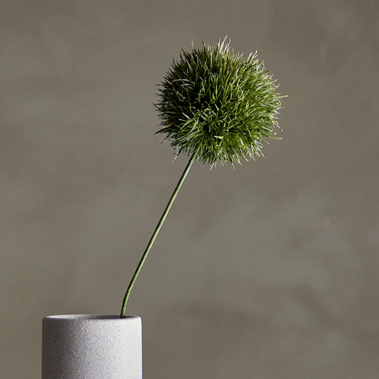 Allium Green Stem