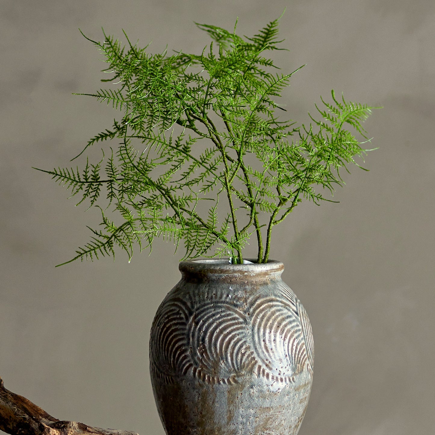 Fern Green Stem